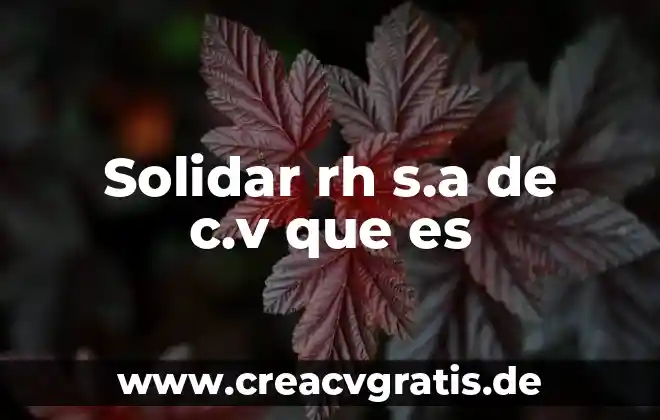 Qkl servicios s.a de c.v que es 3 Solidar rh s.a de c.v que es