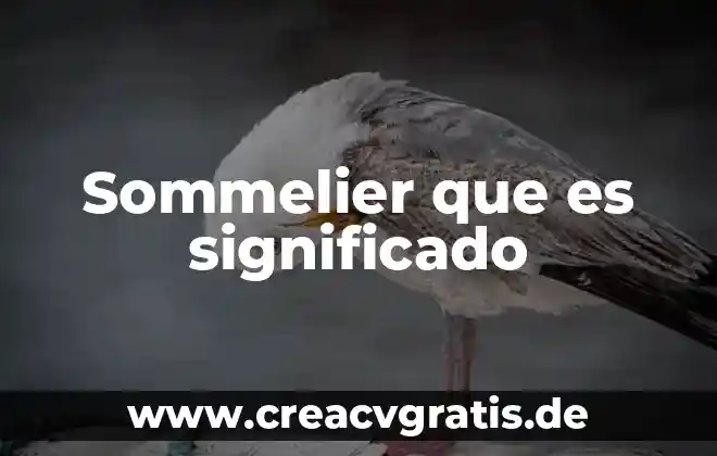 Qué es ser elitista significado 7 Sommelier que es significado