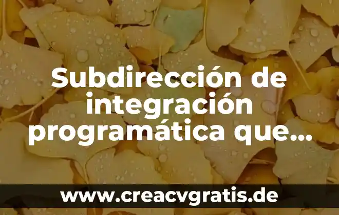 Que es control de integracion 5 Subdirección de integración programática que es