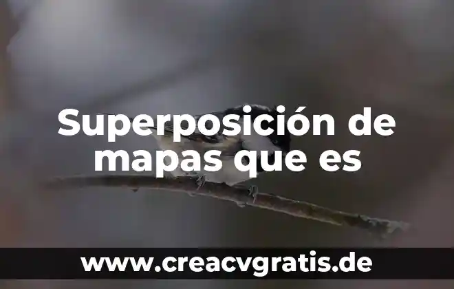 Qué es una verad lógica 4 Superposición de mapas que es
