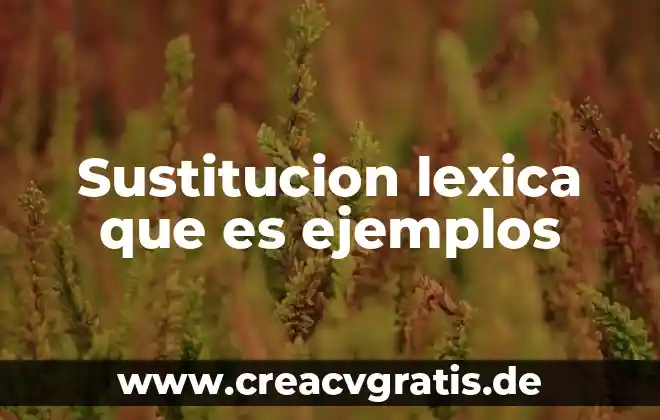 Que es la precisión lexica ejemplos 6 Sustitucion lexica que es ejemplos