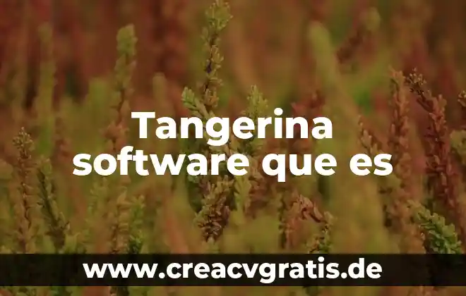 Que es ideograma en literatura 5 Tangerina software que es