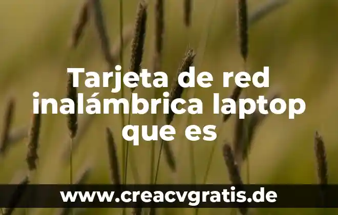 Qué es una tarjeta de red inalámbrica USB 3 Tarjeta de red inalámbrica laptop que es
