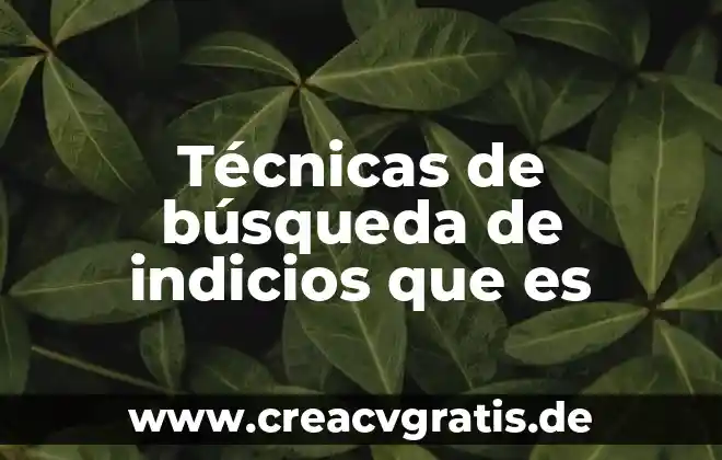 Que es la busqueda del ser y trascender 4 Técnicas de búsqueda de indicios que es