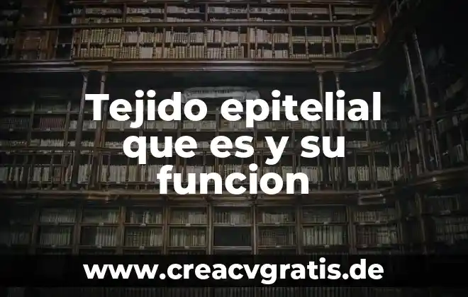 Qué es el tejido óseo y sus tipos 7 Tejido epitelial que es y su funcion