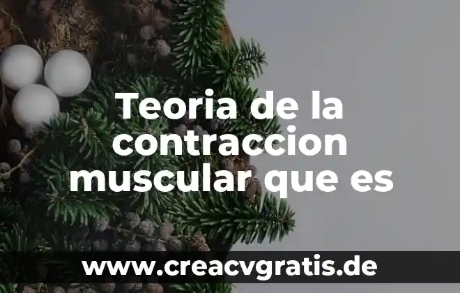 Que es una lesion muscular y que tipos existen 4 Teoria de la contraccion muscular que es