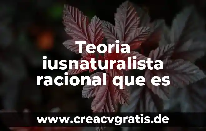 Qué es un número racional finito 4 Teoria iusnaturalista racional que es