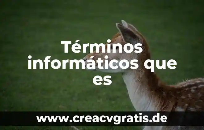 Que es un sol en terminos de sustancias dispersas 4 Términos informáticos que es