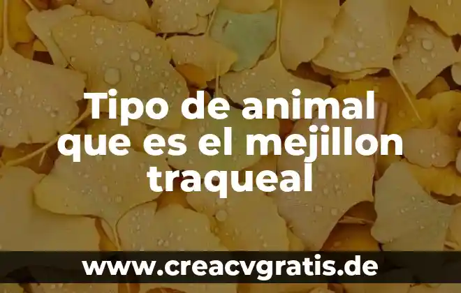 Que es el animal babosa 8 Tipo de animal que es el mejillon traqueal