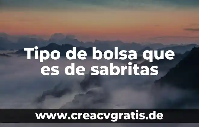 Que es un concluion tipo sumario 4 Tipo de bolsa que es de sabritas