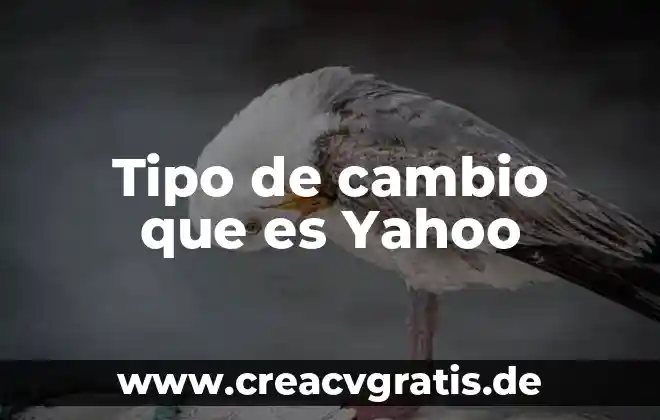 Que es el cambio infraestructural 8 Tipo de cambio que es Yahoo