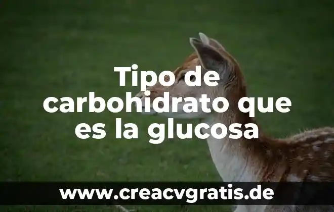 Que es defensa de lamina de acero tipo armco 3 Tipo de carbohidrato que es la glucosa