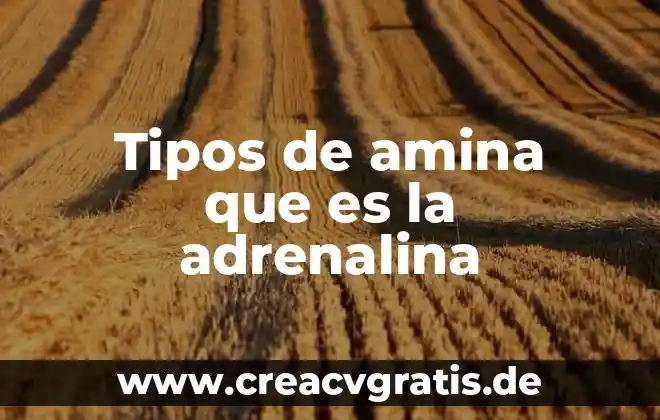 Que es temblor tipos de temblor 3 Tipos de amina que es la adrenalina