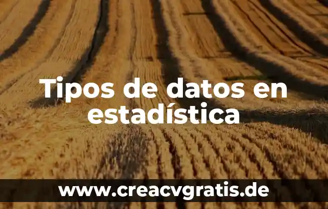 Que es una prueba de independencia estadística gaussianos 6 Tipos de datos en estadística