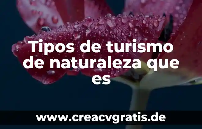 Que es la comunicacion tipos ejemplificados 8 Tipos de turismo de naturaleza que es