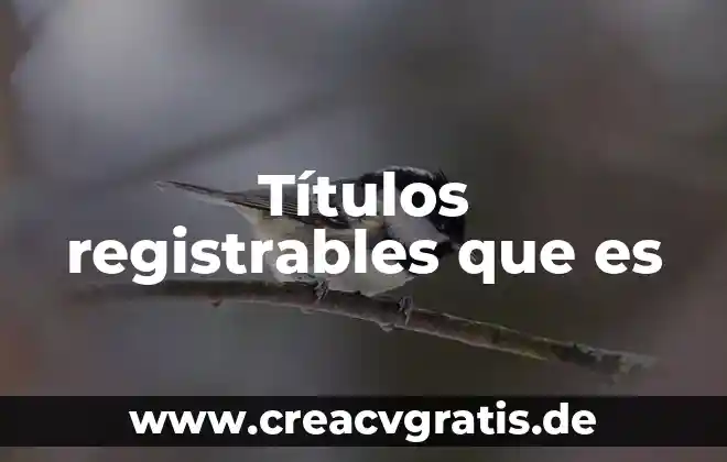 Que es y tipos de titulos de credito 3 Títulos registrables que es
