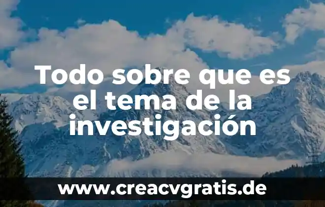 Qué es berrinche significado 6 Todo sobre que es el tema de la investigación