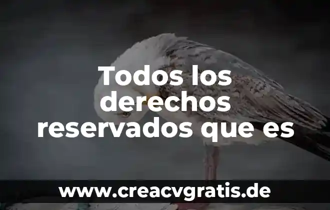 Que es la vigencia de derechos del trabajador 3 Todos los derechos reservados que es