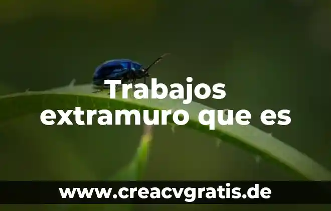 Aeroempresas que es que significa 5 Trabajos extramuro que es
