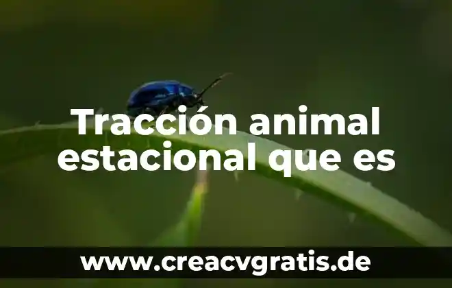 Que es sacrificar un animal 8 Tracción animal estacional que es