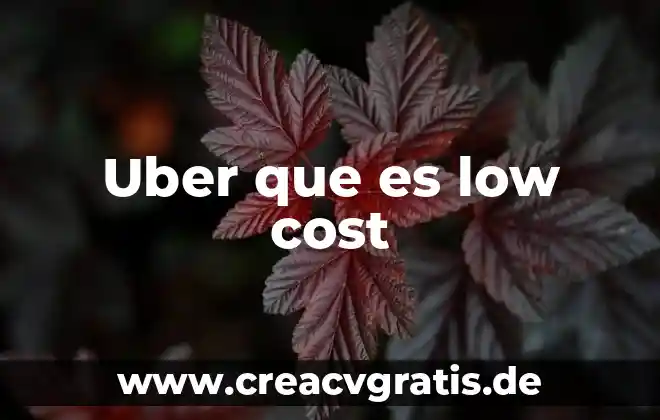 Switching cost que es 8 Uber que es low cost