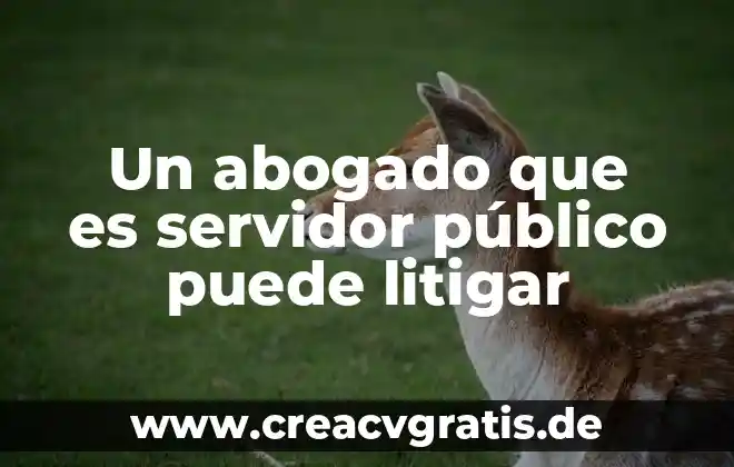 Que es individual en publico meta 4 Un abogado que es servidor público puede litigar