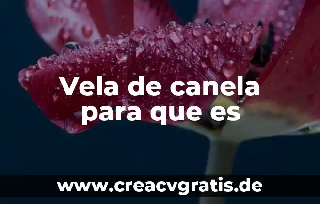 Vela verde para que es 3 Vela de canela para que es