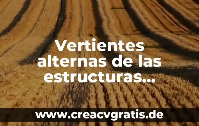Qué es un dir en estructuras 5 Vertientes alternas de las estructuras organizacionales que es
