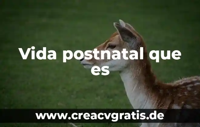 Metas y sueños en la vida que es 3 Vida postnatal que es