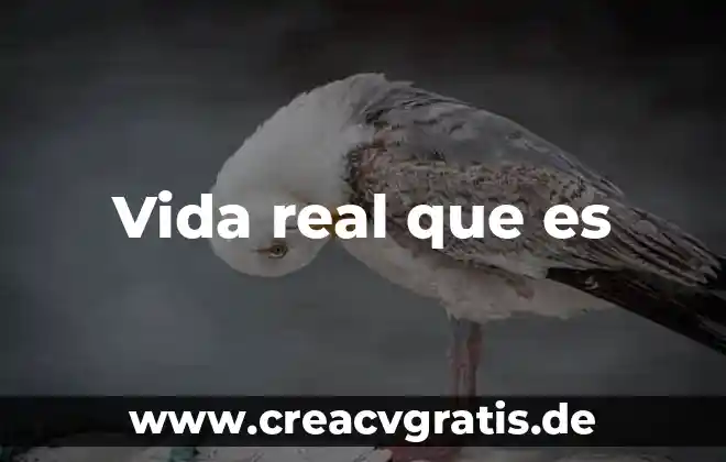 Qué es un número real en álgebra 3 Vida real que es
