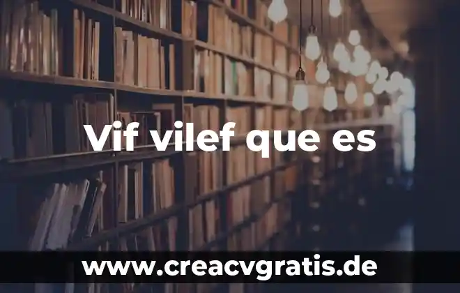 Que es o que se significa derechos y obligaciones 6 Vif vilef que es