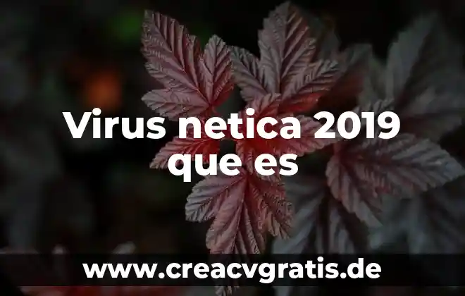 Qué es el idealismo ontológico en la filosofía 4 Virus netica 2019 que es