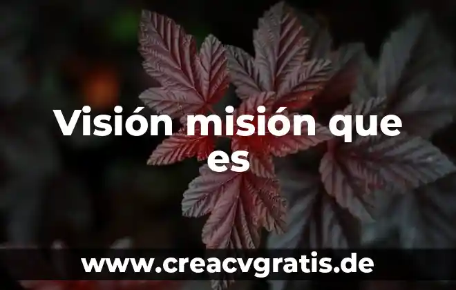 Acta de mision arbitraje que es 7 Visi贸n misi贸n que es