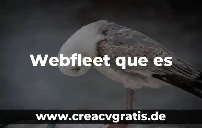 Que es lógica discursiva 6 Webfleet que es