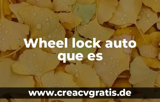 Qué es psicología de la adolescencia 3 Wheel lock auto que es
