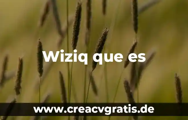 Qué es una propuesta formativa en educación 7 Wiziq que es