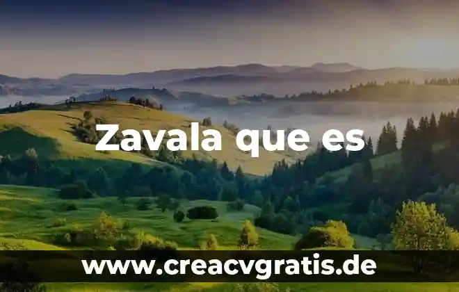 Qué es una determinante y cómo se resuelve 8 Zavala que es