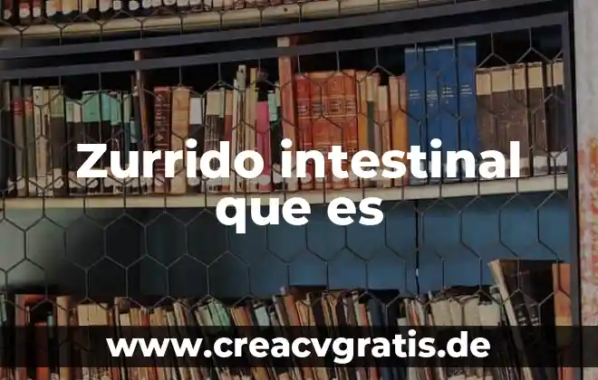 Qué es equidad significado 6 Zurrido intestinal que es