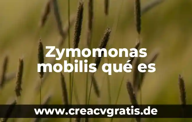 To he information que es en español latino 5 Zymomonas mobilis qué es